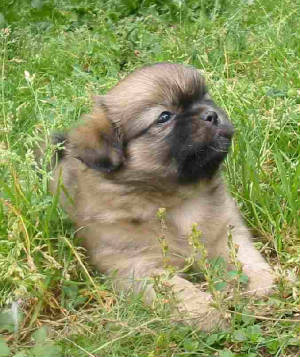 delight2.6weeks.site.jpg