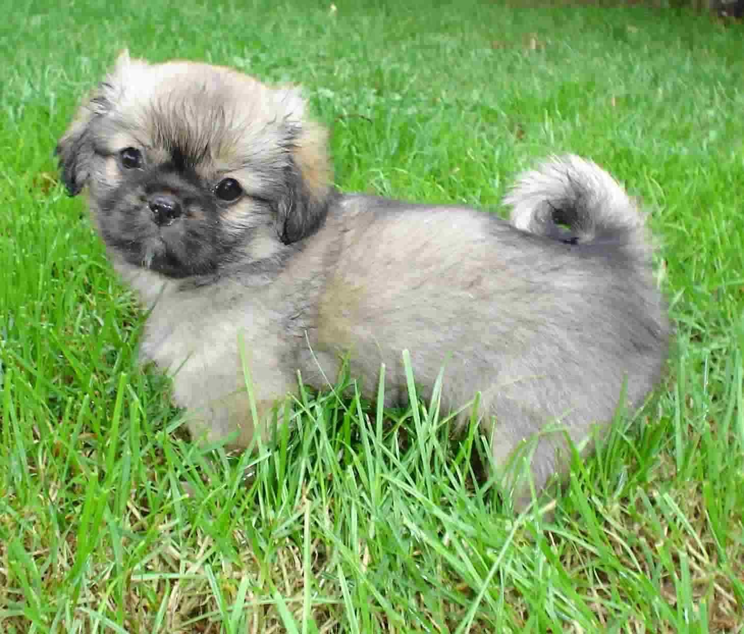 000dreamer8weeks1.site.jpg