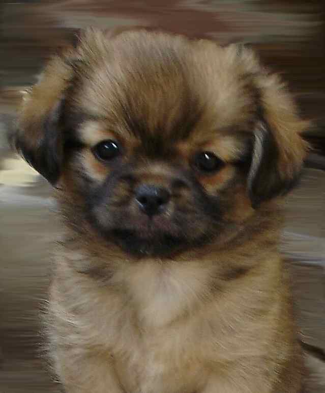0delight.8weeks.1b.site.jpg