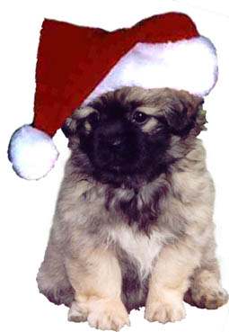 jlm.xmas00.jpg