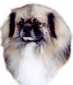sugar001.jpg